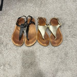 Black and Gold Sandals